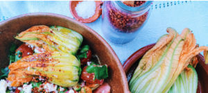 Riviera Maya Food and Walking Tours