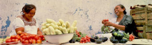 Riviera Maya Food and Walking Tours
