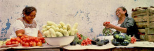 Riviera Maya food tours FAQ's